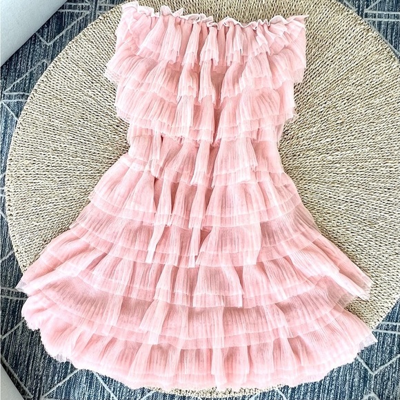 Anthropologie NWT Eva Franco Victoire Tiered Tulle Mini Dress Pink Party Sz 8 - Picture 8 of 13